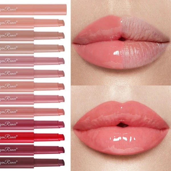 Dragon Ranee 12 colors lipstick pack waterproof
