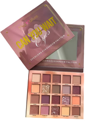 Mocallure can you wait eyeshadows palette