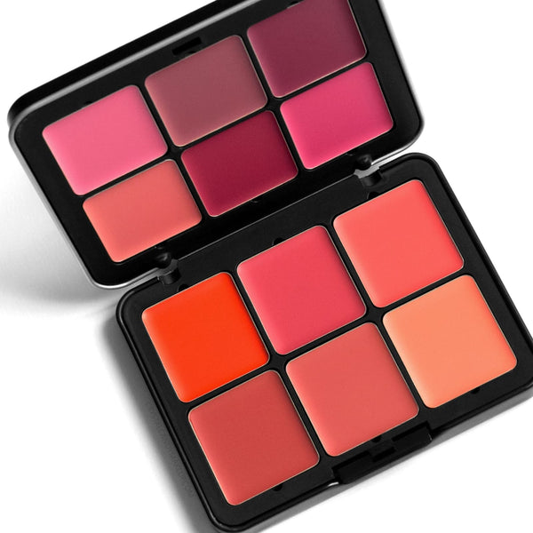 Carla secret 12 colors blusher & lipstick pallete