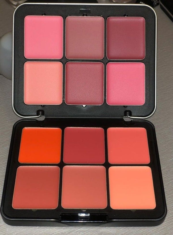 Carla secret 12 colors blusher & lipstick pallete
