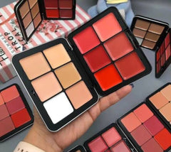 Carla secret 4 in 1 concealer contour , blusher & lipstick pallete limited edition
