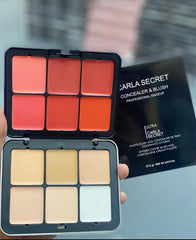 Carla secret 4 in 1 concealer contour , blusher & lipstick pallete limited edition